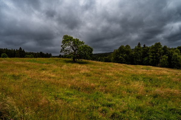 Šumava